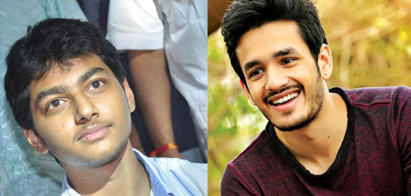 nandamuri fans,mokshagna,akhil,mega fans,akhil vs mokshagna,nbk,nag  నందమూరి ఫ్యాన్స్‌ని కూడా వదలలేదు! 